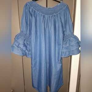 Millenium Denim Blue Ruffle Sleeve Dress